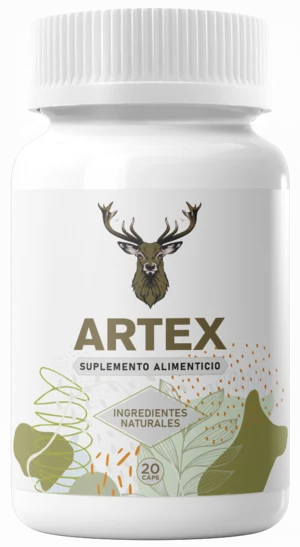 Artex, presentación del producto